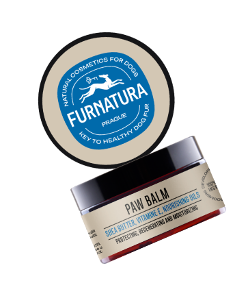 paw balm