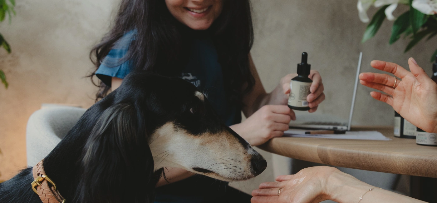 For us, the dog is the master