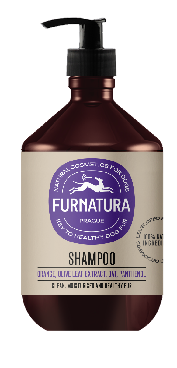 shampoo for all hair types